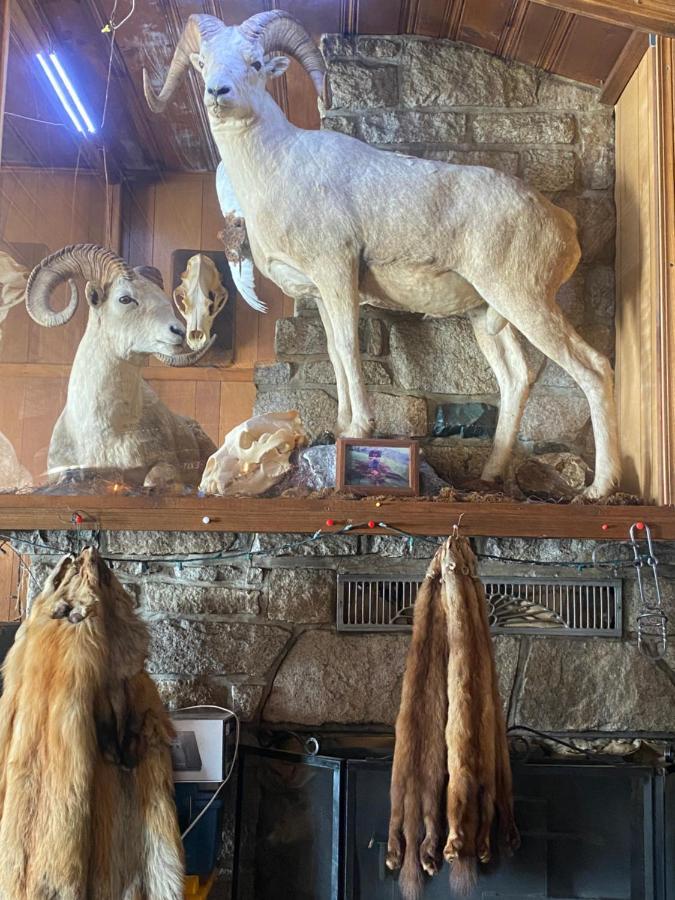 Tolsona Lake Lodge 글렌날렌 외부 사진